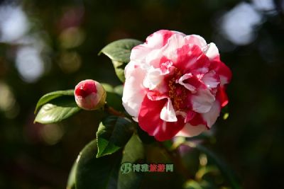 临春河公园