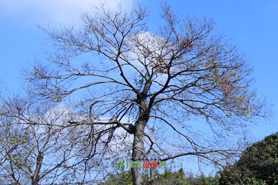 中国社科院息县“五七”干校旧址