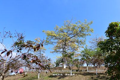 两弹城景区