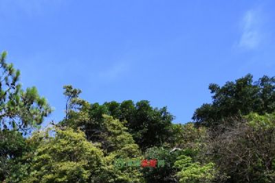 元宝沟遗址