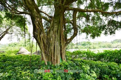 一斗水村传统民居
