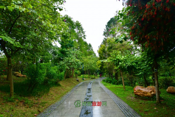 广州海珠国家湿地公园(海珠湿地公园)