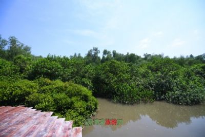 红树林生态公园