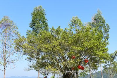 磕头山造像（罗汉洞摩崖造像）