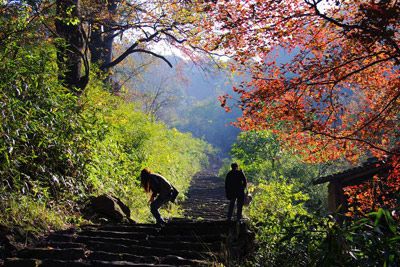 上青古道