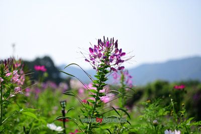 阿什贡峡的风蚀山貌