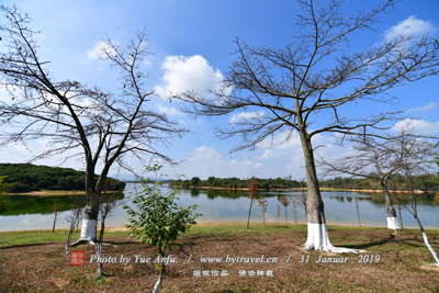 京兆第