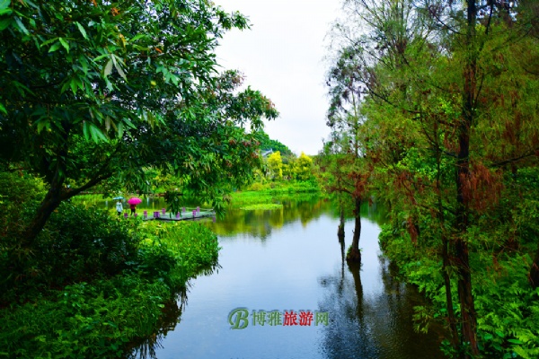 广州海珠国家湿地公园(海珠湿地公园)