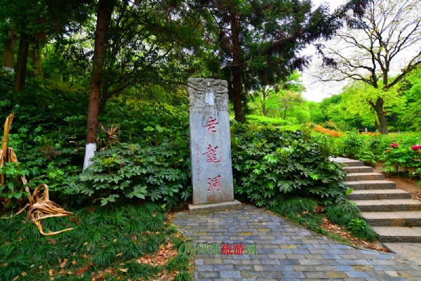 隆中老龙洞