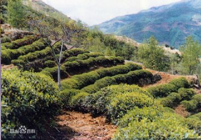 文山国家级自然保护区