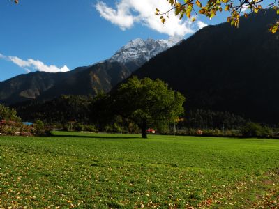 格尼村