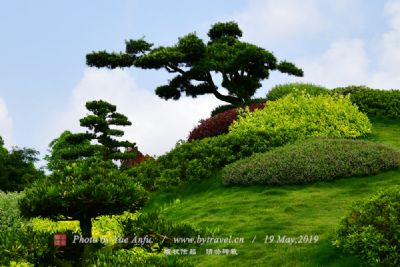 陆荣廷墓