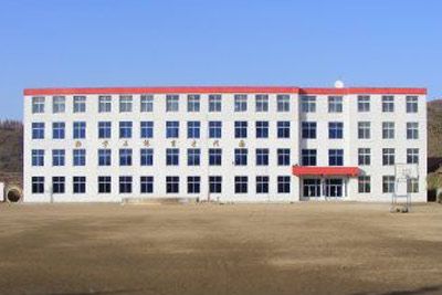 三棵榆树镇志航小学