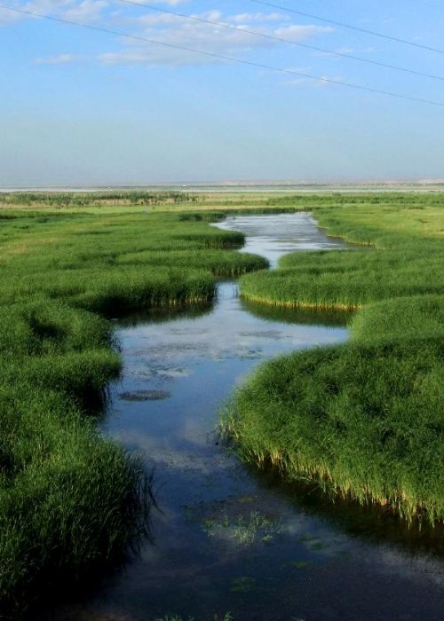 平罗天河湾黄河国家湿地公园
