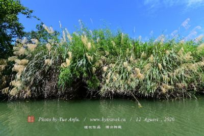 巴州莲花湖