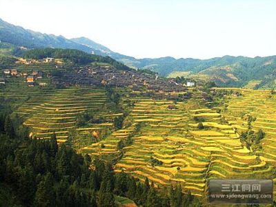 林略梯田