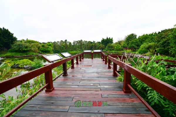 广州海珠国家湿地公园(海珠湿地公园)