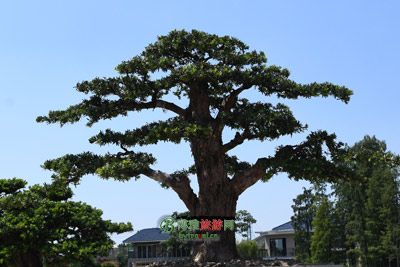 多河文化谷旅游区