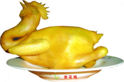 盐焗杏花鸡