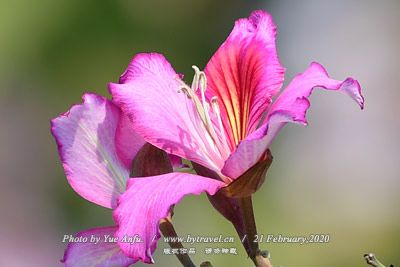 晋绥日报社旧址