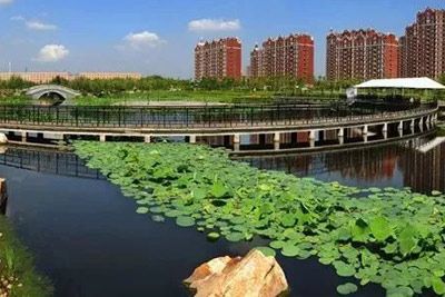 观澜湖公园