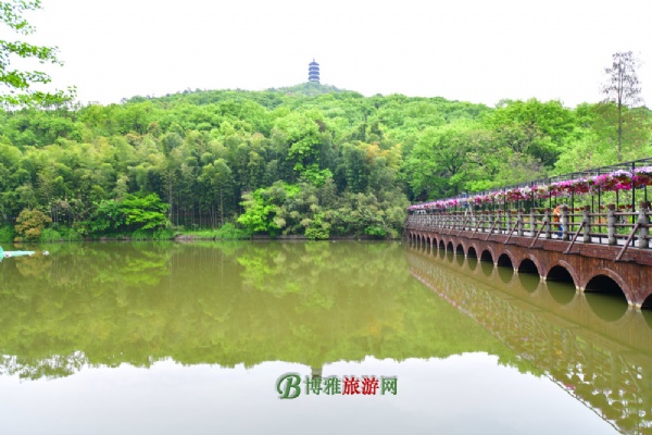 腾龙阁
