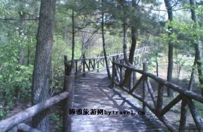 海南第一橡胶园