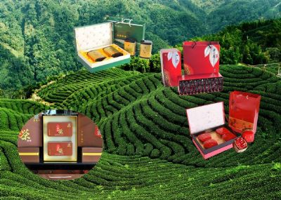 始兴茶叶