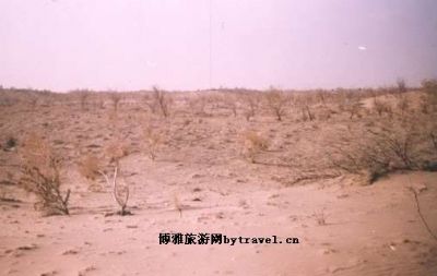 沙井柳湖墩遗址